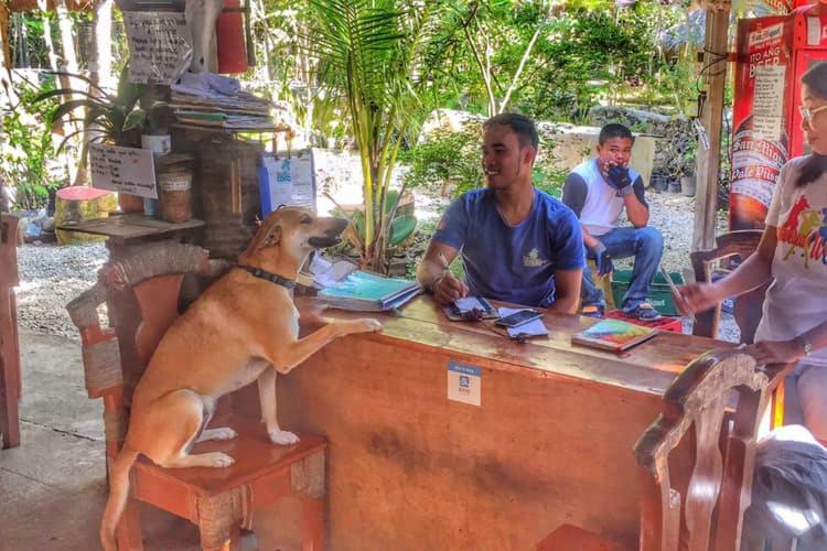 Bohol Coco Farm Hostel Panglao Luaran gambar